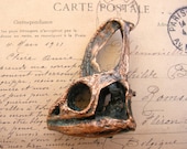 Veiled Chameleon Lizzard Skull Bone - Copper Electroformed with Patina