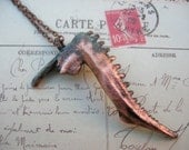 Copper Fossilized Bluefish Jaw Bone Necklace Pendant