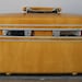UPCYCLED Daffodil Yellow VINTAGE Train Case with Dandelions and Seedlings LUGGAGE