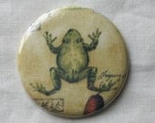 pocket mirror old fashioned frog fabric covered pocket mirror