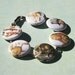 MAY SALE 31% OFF bracelet Alice In Wonderland 8 inch button bracelet