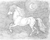 Horse And Moon Pen And Ink Drawing