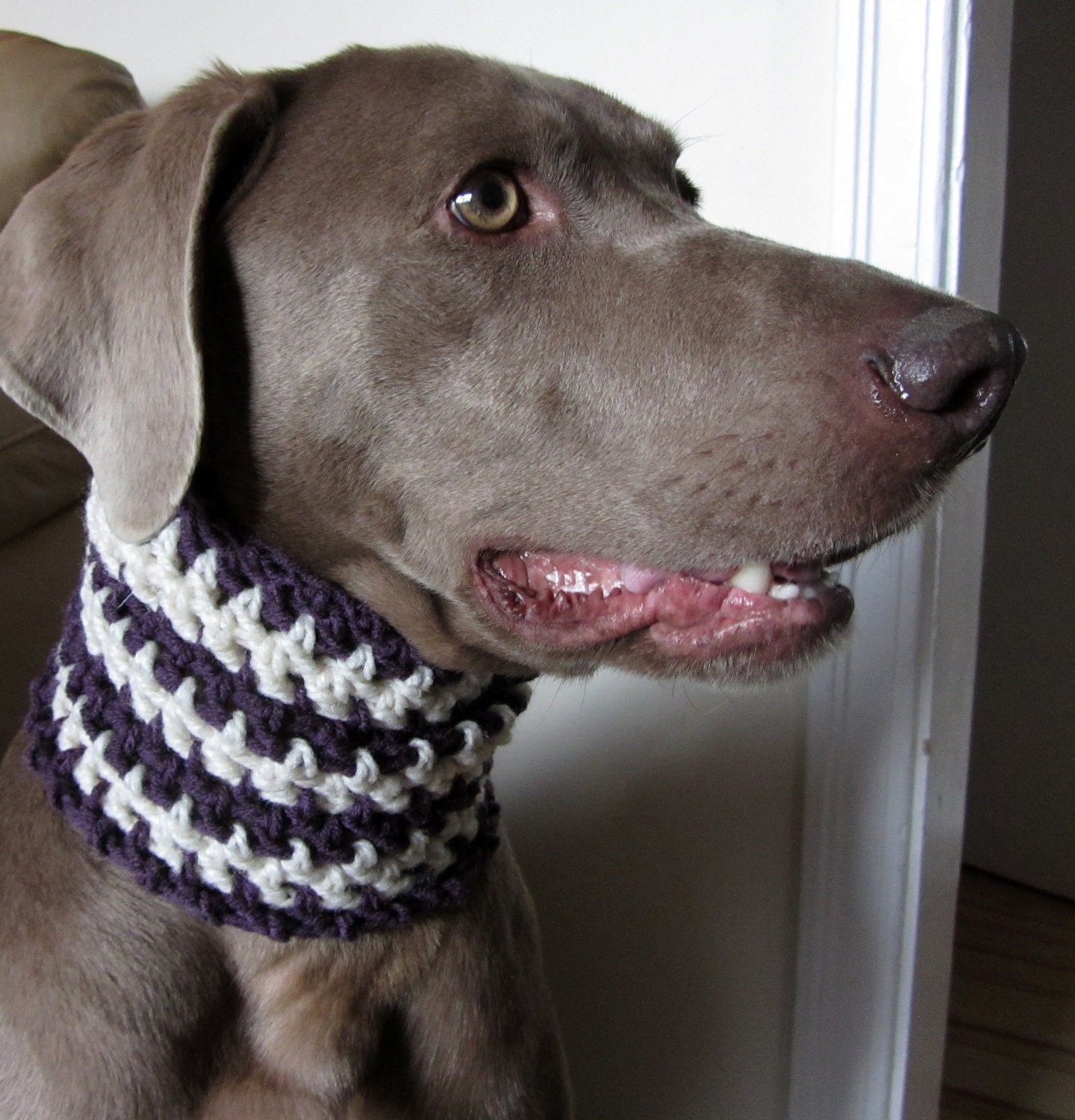 MOD DOG Crocheted Dog Cowl in Purple Stripes