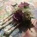 Lilacs, Ivy, and Pearls Brooch