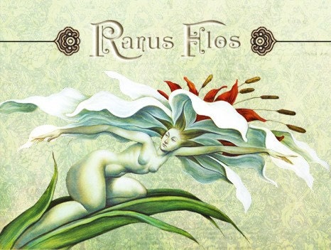 Rarus Flos // Etsy Shop Graphic Set ---- Make your shop POP with an original banner that will leave a lasting impression