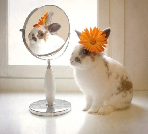 Vanity print 8x8
