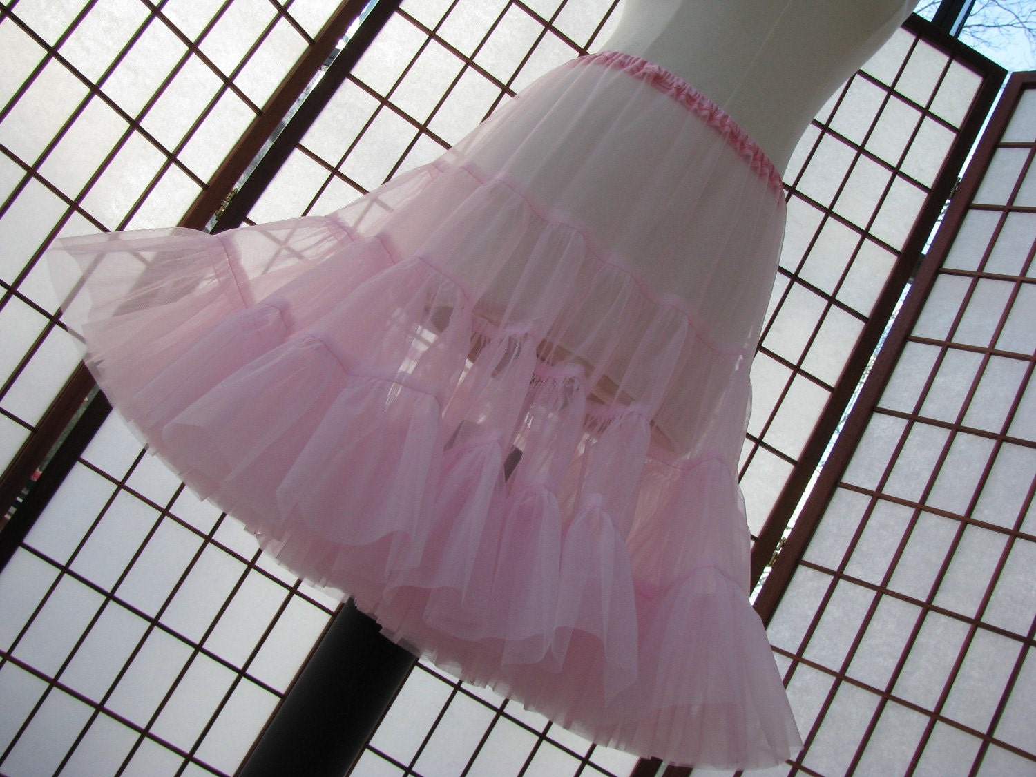 Organdy Pettislip Your Color Choice Size Small Custom