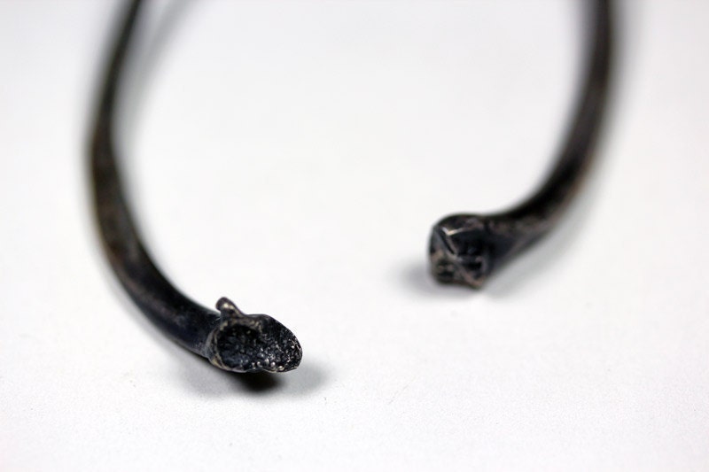 forget me not. snake rib earrings.