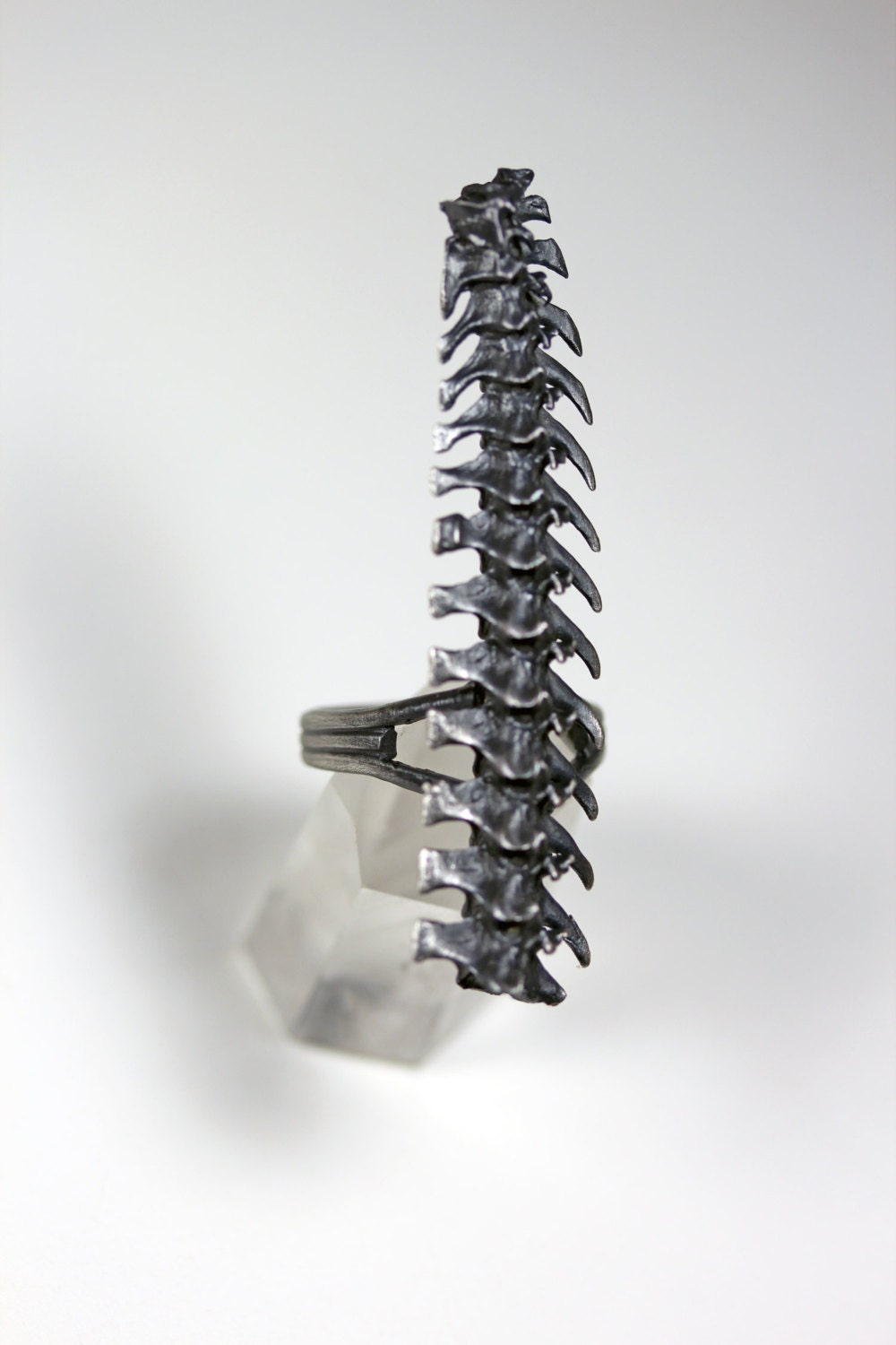 djed. rattlesnake spine ring.