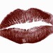 Burgundy Lipstick Organic and Vegan mineral makeup