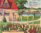 Vintage 1930's Kunderd Gladioli Flowers, Bulbs Advertising Illustration, Print, Glads, Cottage, Trellis