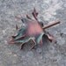 Brown Oak Leaf Leather Hair Cup