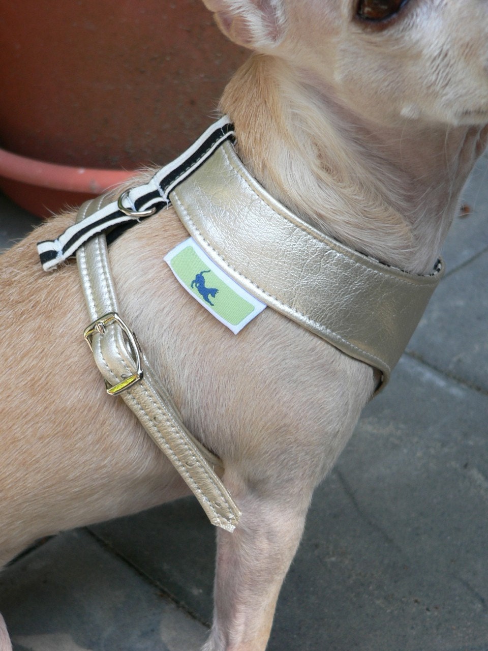 RESERVED FOR AnubisBird Pitou Harness in gold leather size petite