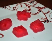 Handmade Mini Soaps