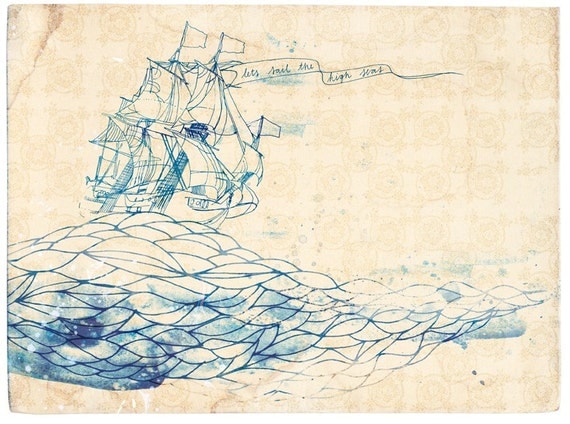 high seas fine art print - a Sweet William illustration on archival paper.