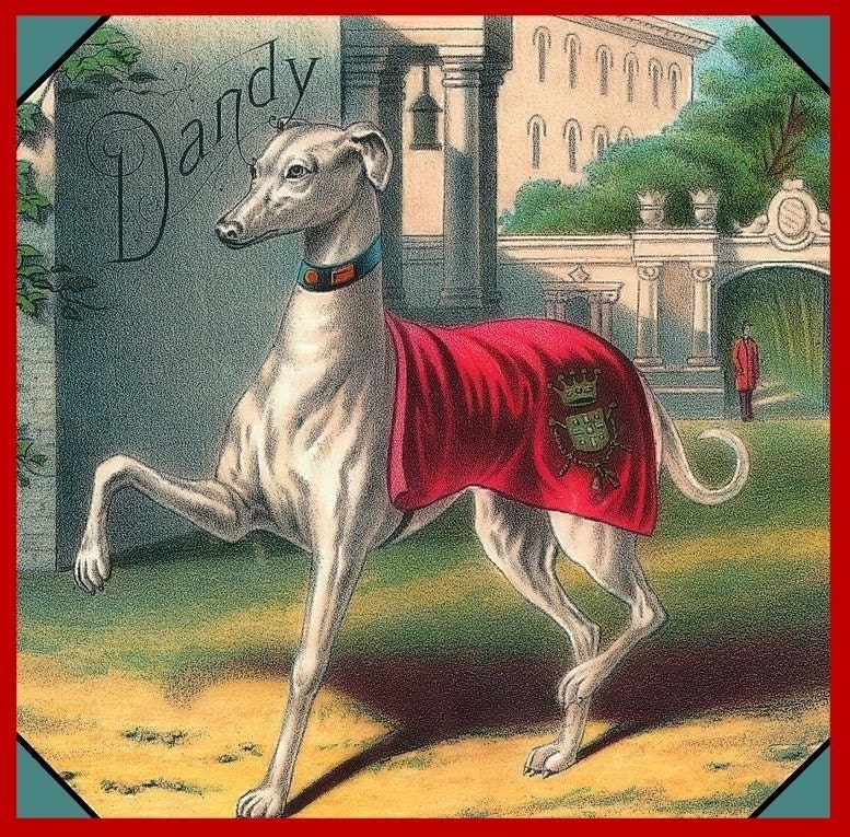 Dandy Royal Greyhound Dog Refrigerator Magnet
