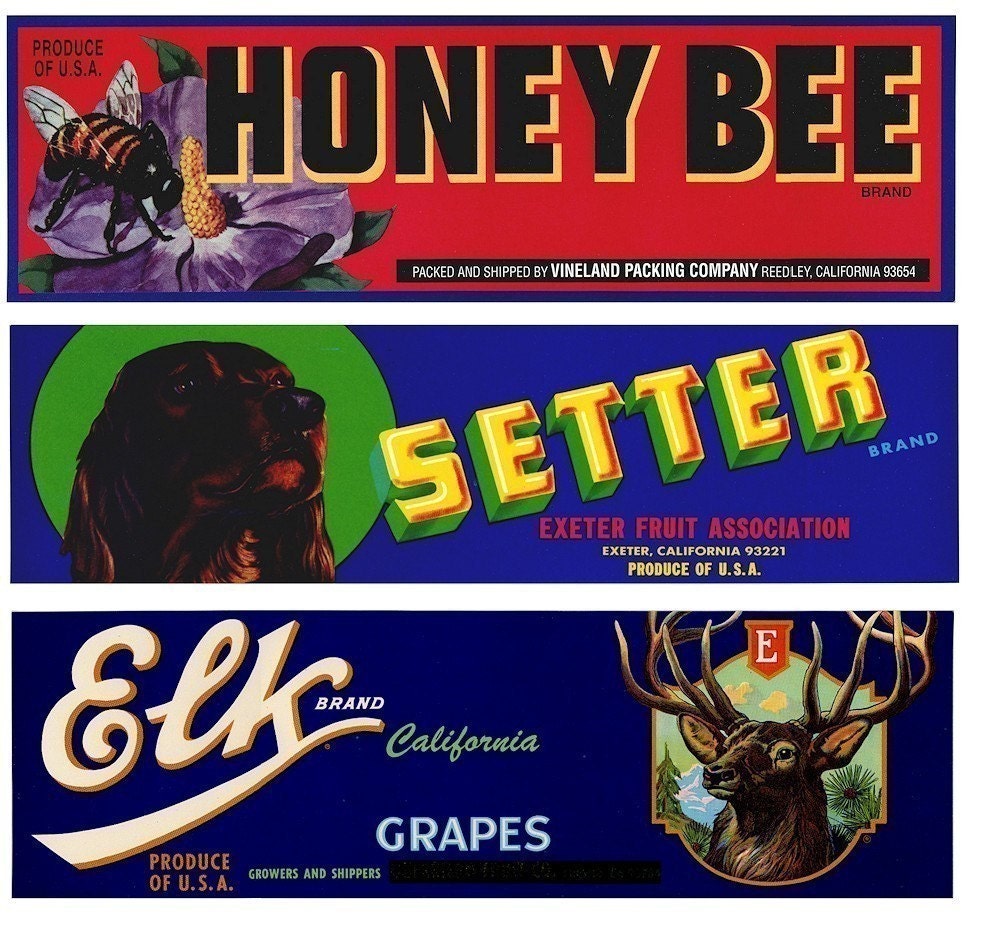 17 Vintage Animal Grape Crate Labels - Dog Horse Birds Bear Lions  Scrapbooking