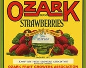 Ozark Missouri StrawberriesRefrigerator Magnet - FREE US SHIPPING