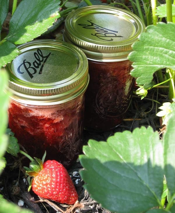 Strawberry Jam Preserves Organic 1 Pint Jar