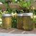 Honeysuckle Jelly - LIMITED EDITION - 8 oz Jar Organic