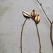 Three Leaves Necklace, Vintage Style Jewelry
