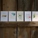Indiana Letterpress Print Limited Edition