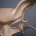 White Leather Mask, bat or a cat, creature, animal, fae