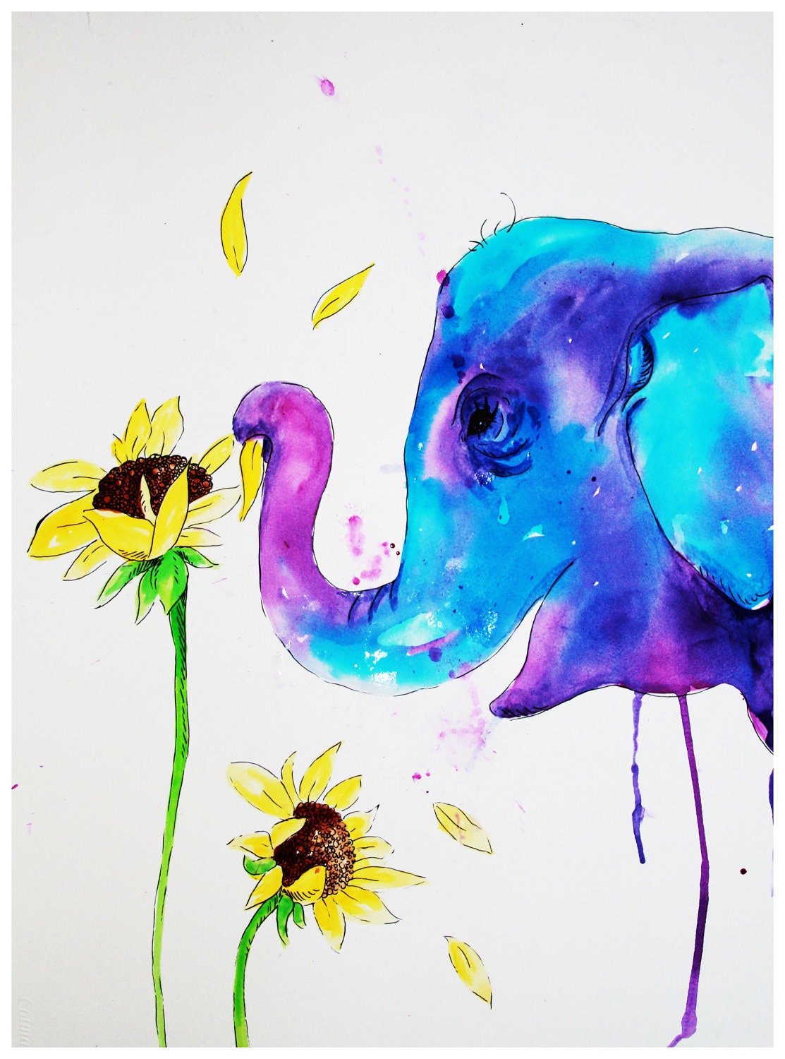 He Loves Me, He Loves Me Not Watercolor and Ink Illustration 4x6  Print