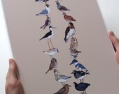 Love Birds Stack - Fine Art Print 11x17
