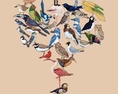 Bird Tree - Fine Art Print 8x10