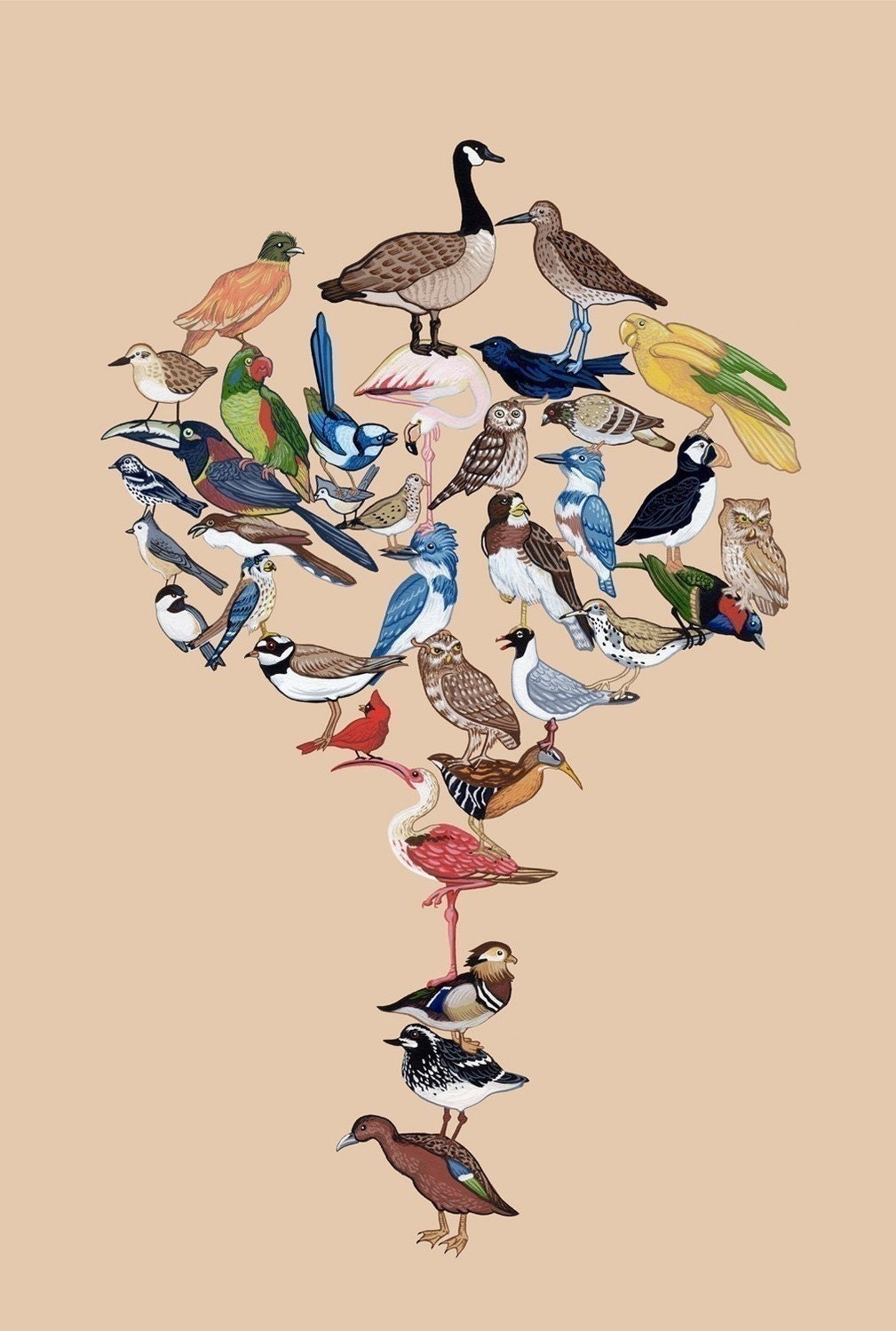 Bird Tree - Fine Art Print 11 x 17