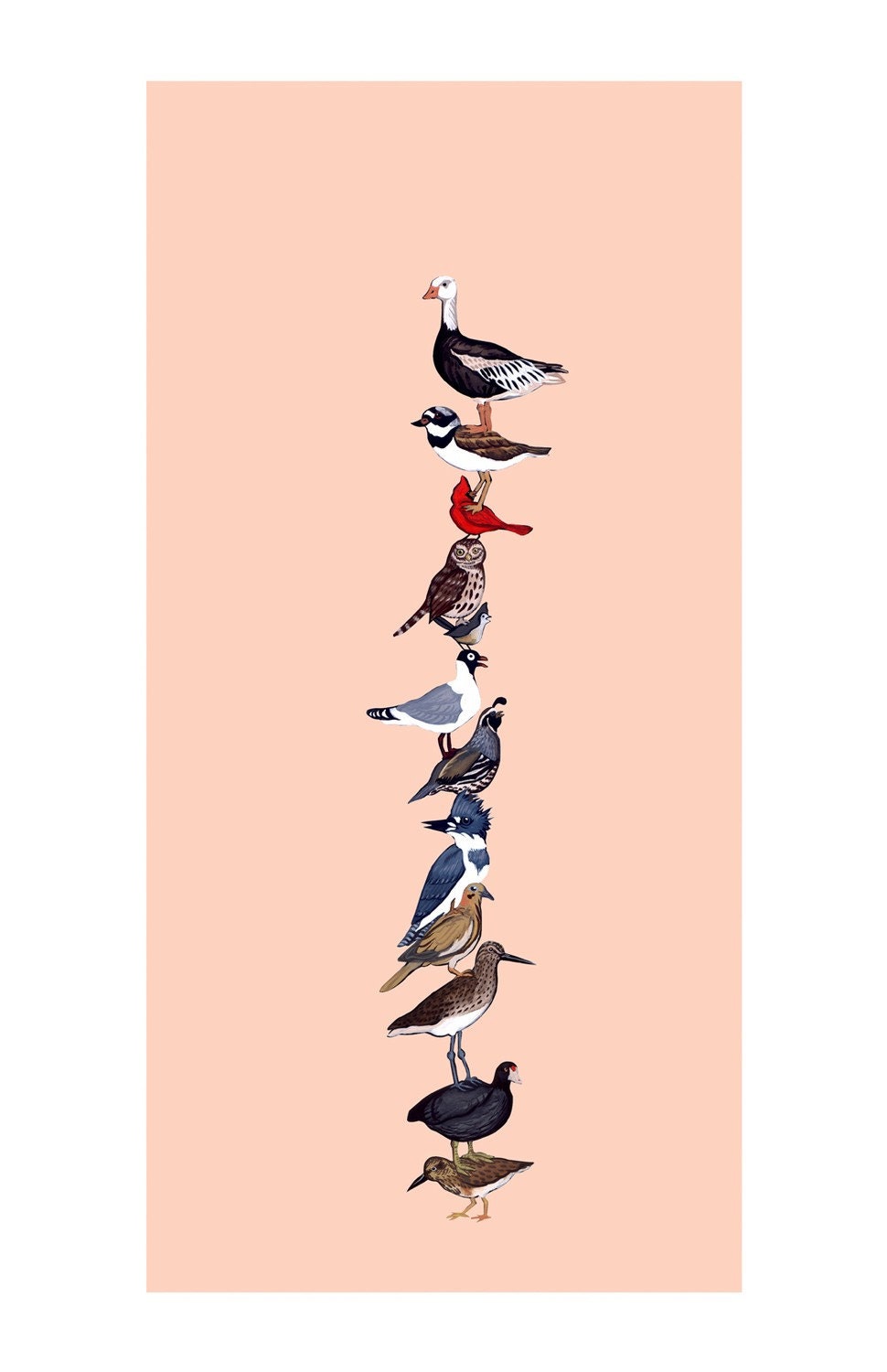 Bird Stack - Fine Art Print 11x17