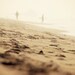 beach photography, surfer photograph, waters edge. dreamy LA seaside morning coffee toffee brown neutral El Porto California 5x7