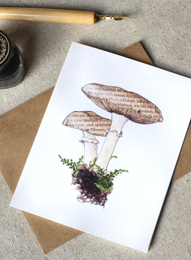 Mushroom Note Cards