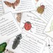 Insect Cards with Moths & Beetles - Digital - Printable PDF