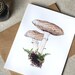 Mushroom Note Cards