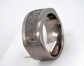 Mens Titanium Ring - Meteorite inlaid in Titanium Ring