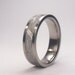 Gibeon Meteorite Inlay Titanium Ring