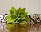 Flower Dog Collar - Summer Aloe