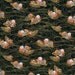 Half-yard Cut - Enchanted Asian Ducks - fabric BQ5960
