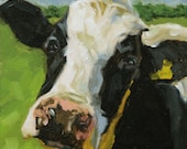 Cow art, giclee on canvas print with gallery wrap, 12x12, from an original oil painting, "The Moo End"