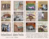 GrEyHoUnD ReScUe tWiNcHiEs collage sheet grey greys greys racing dog pet adoption 2x2 supporter