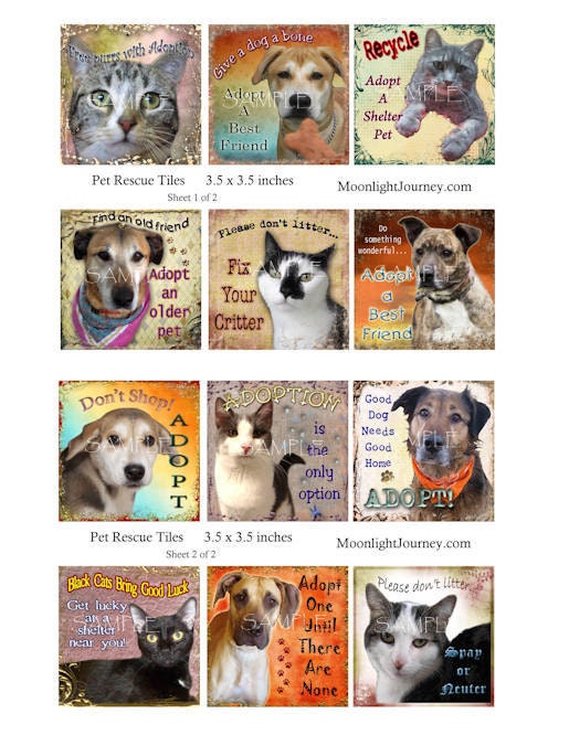 PeT ReScUe collage sheet adoption cat dog shelter 3.5 x 3.5 ornie coaster tile animal sayings