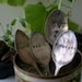 Vintage Silverware Garden Marker - Mint Basil Rosemary Thyme Set