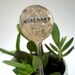 Vintage Silverware Garden Marker Pick 3 set (E0270)