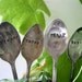 Custom Set Vintage Silverware Garden Marker Herb Stakes