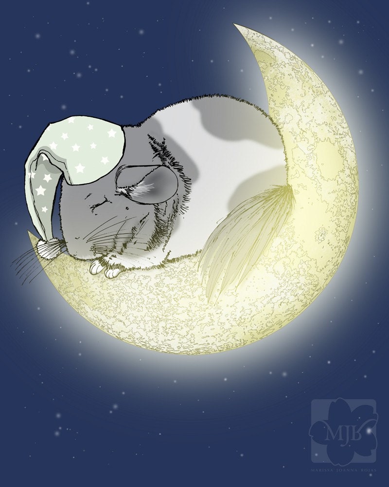 Sleeping Chinchilla on the Moon 4x6 Giclee Illustration Print - gifts under 10 dollars