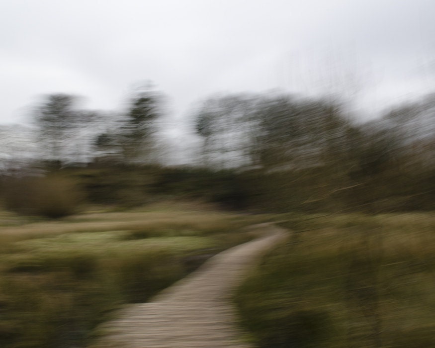 mugdock 3 (Photography, Digital, Impressionism, Home Decor)
