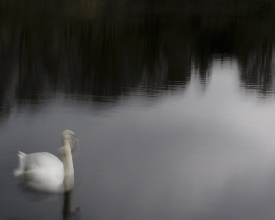 mugdock 11 (Photography, Digital, Impressionism, Home Decor)