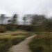 mugdock 3 (Photography, Digital, Impressionism, Home Decor)